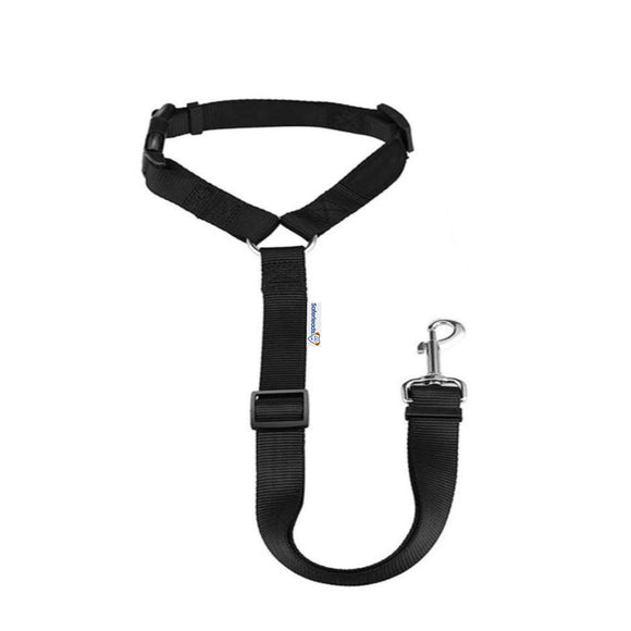 dog seat belt uk saferleads